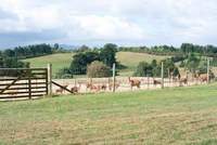 101206_1_Rolly_farm.jpg