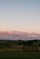 110117_1_Rolly_Sunset1.jpg