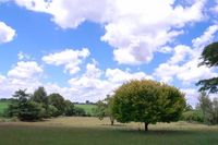 110131_2_Rolly_Farm.jpg