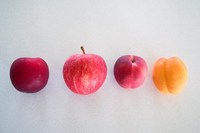 110210_2_Rolly_Fruits.jpg