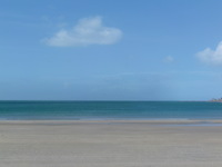 121024_1_mami_waiheke.JPG