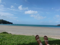 121024_3_mami_waiheke.JPG