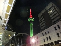 141215_01_Rin_NZ.JPG