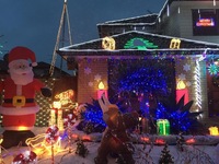 141215_04_Rin_NZ.JPG