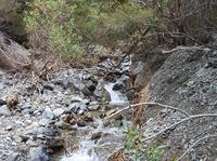 20101101_4_Noby_creek.jpg