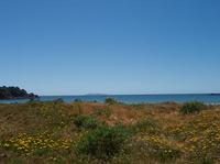 20101115_1_Noby_beach1.jpg