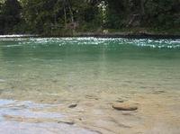 20101118_7_river.jpg