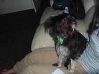 20110425_3_manuka.JPG