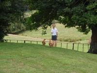20110512_2_manuka.JPG