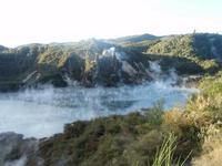 20110613_manuka.JPG