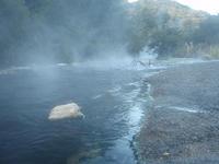 20110616_3_manuka.JPG