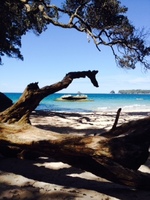 20140331_04_Rin_beach.JPG