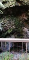 20191017_ヒロミ_7_orakei-korako洞窟.jpg