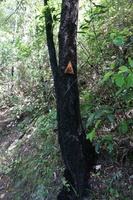 20201123_1_kapotto_sign.JPG
