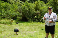 20210128_5_kapotto_takahe.JPG