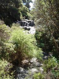 cheiko_061117_3.jpg