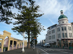 chico070706_2.JPG