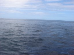 dora070205_3.jpg