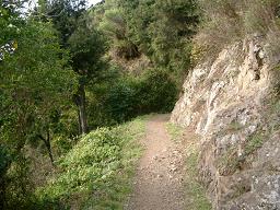 sena060706_4.jpg